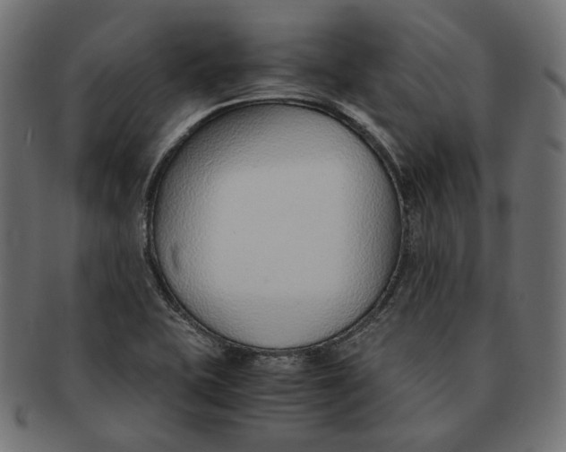 X0000091521415200709071006