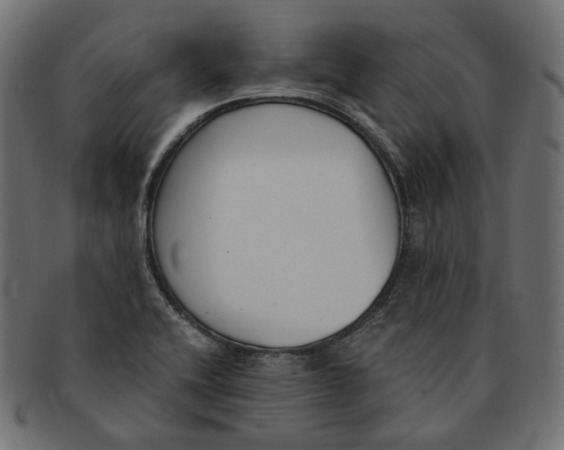 X0000091521416200709071006