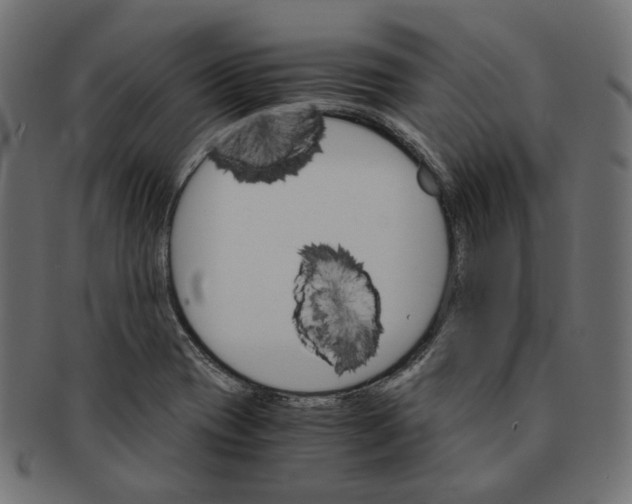 X0000091521417200709071006