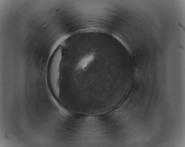 X0000091521418200709071006