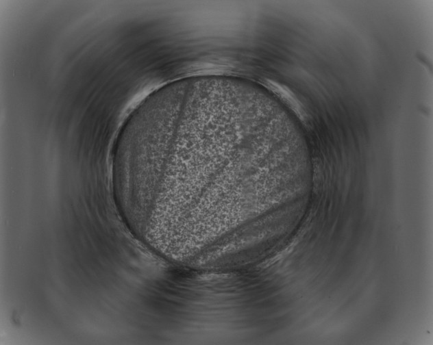 X0000091521419200709071006