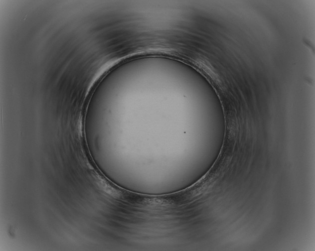 X0000091521420200709071006