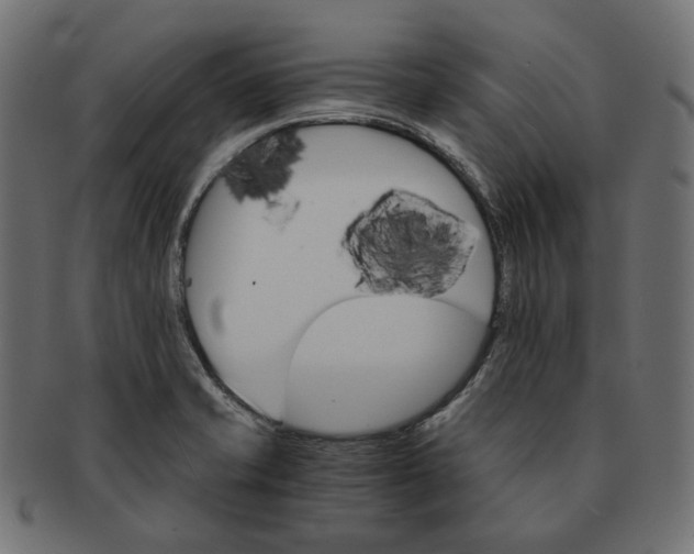 X0000091521421200709071006