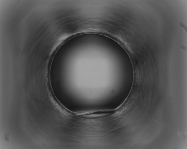 X0000091521422200709071006