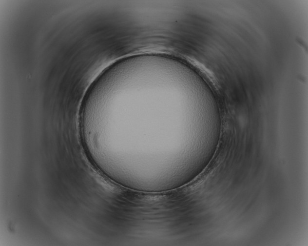 X0000091521423200709071006