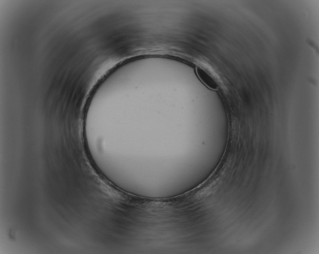 X0000091521424200709071006