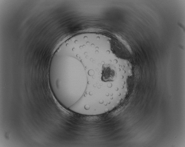 X0000091521425200709071006