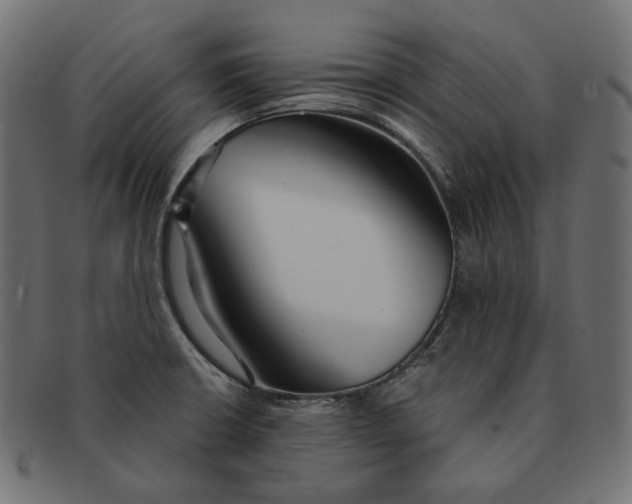 X0000091521426200709071006