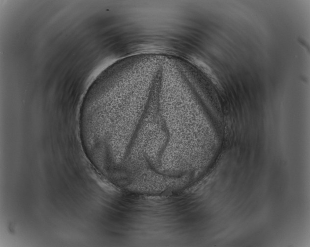 X0000091521427200709071006