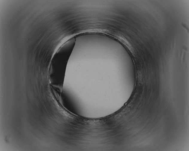 X0000091521428200709071006