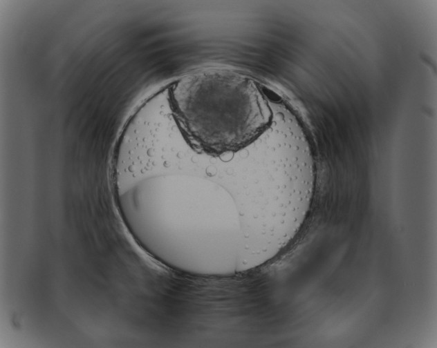 X0000091521429200709071006