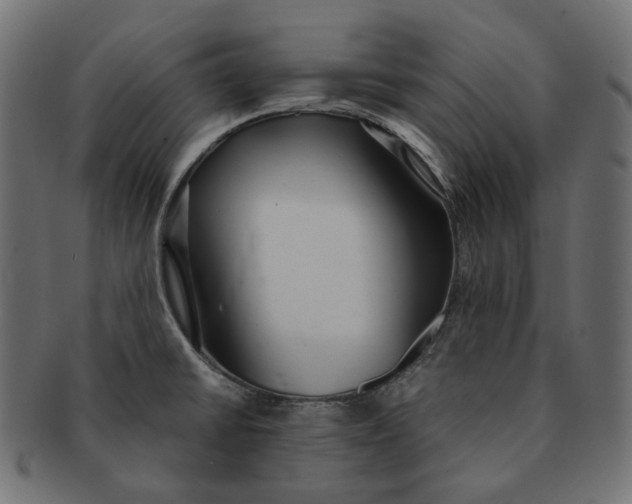 X0000091521430200709071006