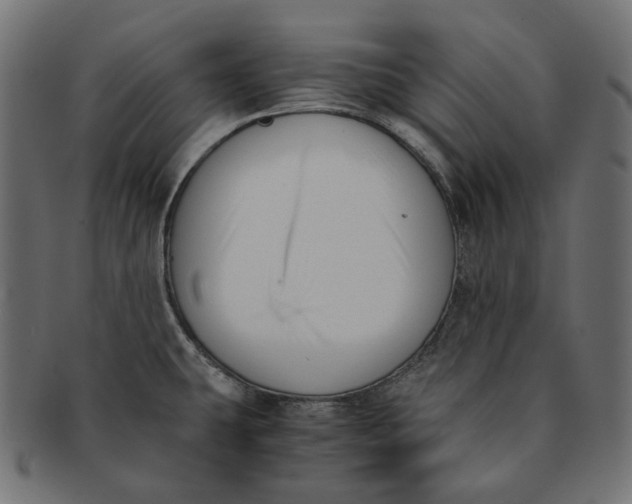 X0000091521431200709071006