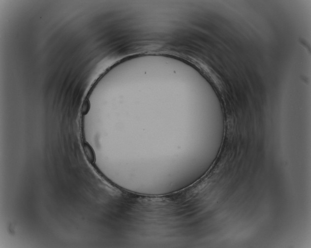 X0000091521432200709071006