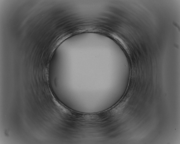 X0000091521433200709071006