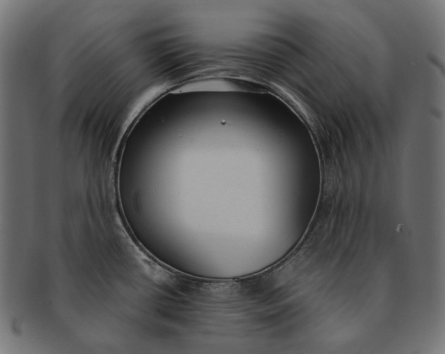 X0000091521434200709071006