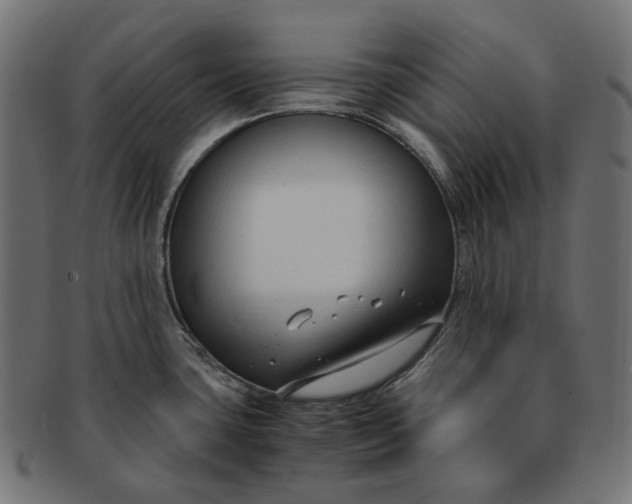 X0000091521435200709071006