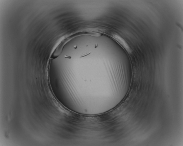 X0000091521436200709071006