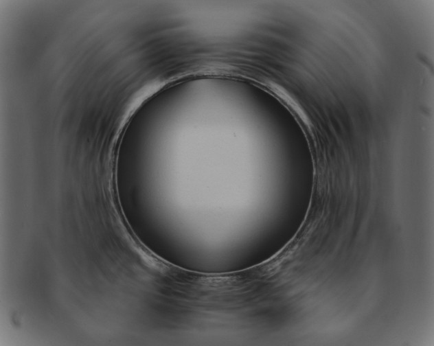 X0000091521437200709071006