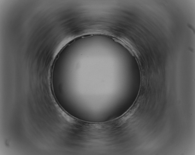 X0000091521438200709071006