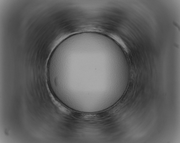 X0000091521439200709071006