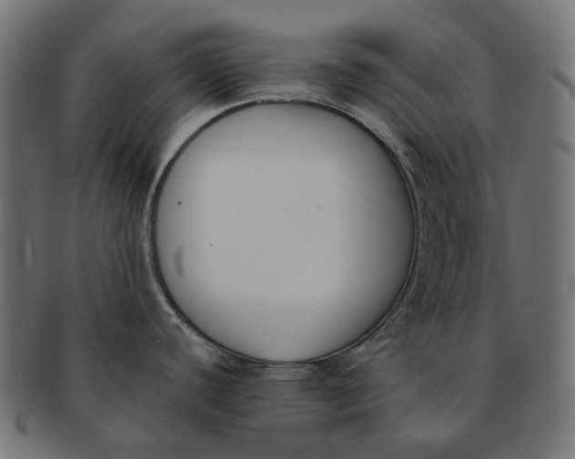 X0000091521440200709071006