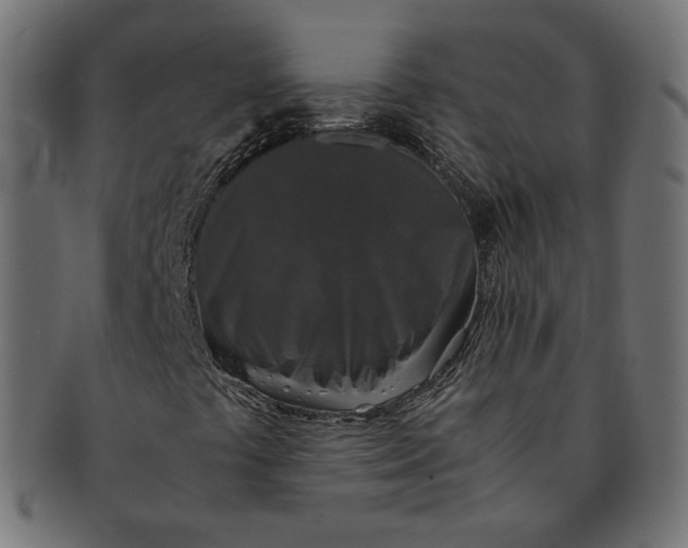 X0000091521441200709071006