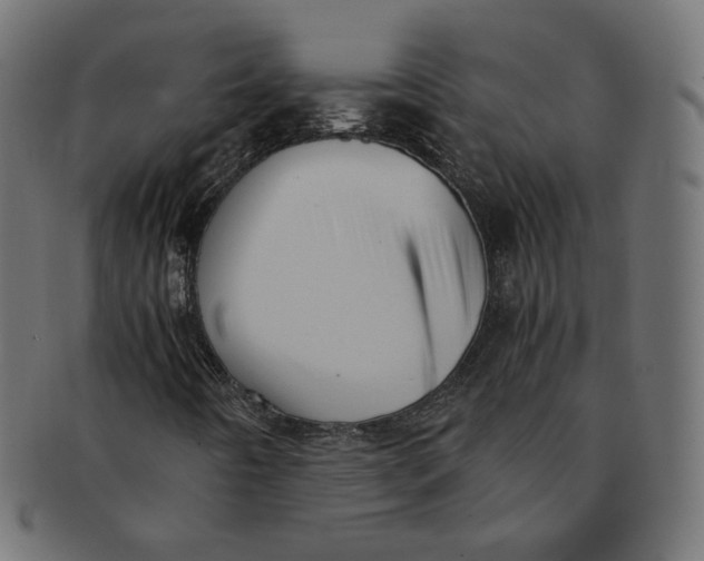 X0000091521442200709071006