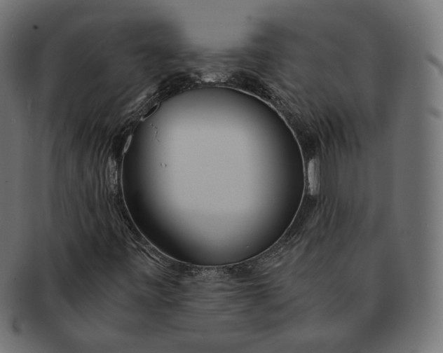 X0000091521443200709071006