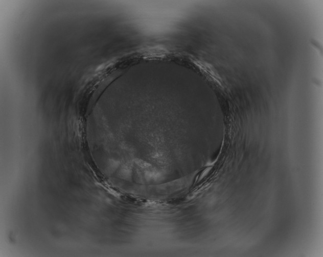 X0000091521445200709071006