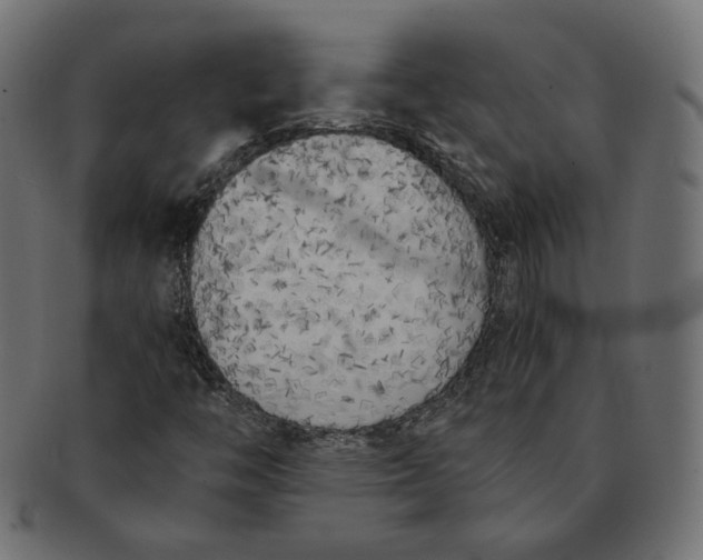 X0000091521446200709071006