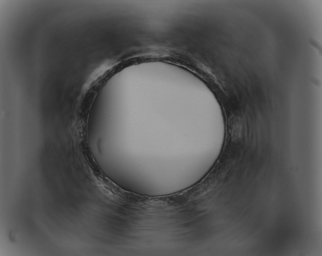 X0000091521448200709071006