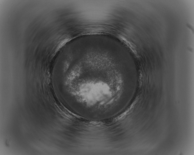 X0000091521449200709071006