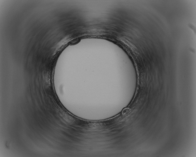 X0000091521451200709071006