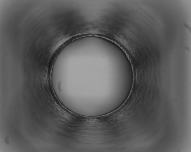 X0000091521452200709071006