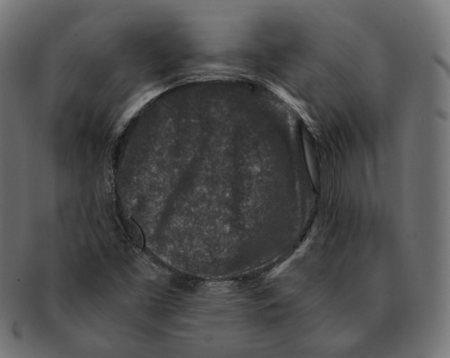 X0000091521453200709071006