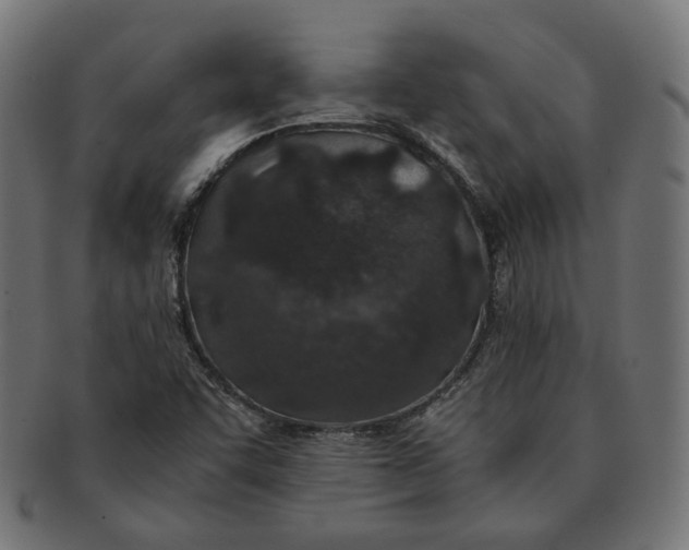 X0000091521455200709071006