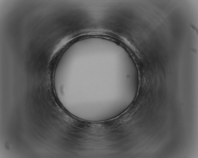 X0000091521456200709071006