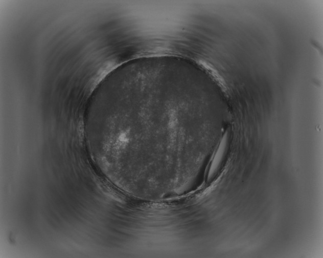 X0000091521457200709071006