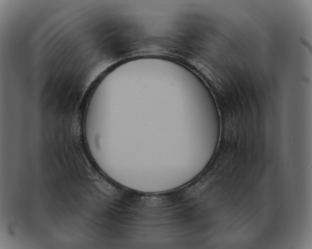 X0000091521458200709071006