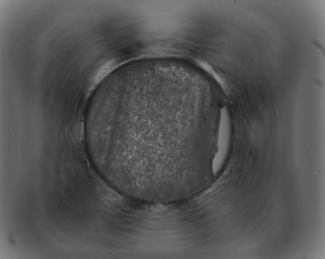 X0000091521459200709071006