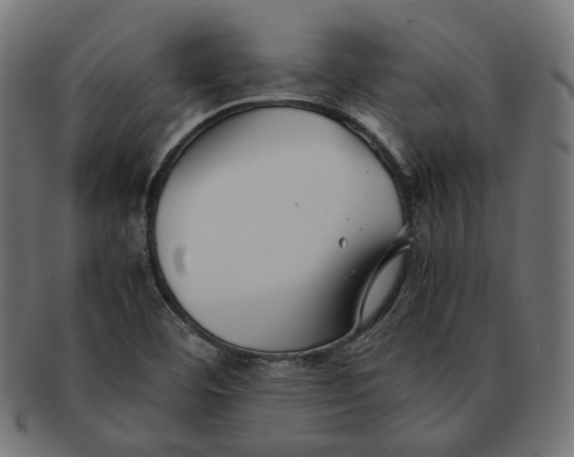 X0000091521460200709071006