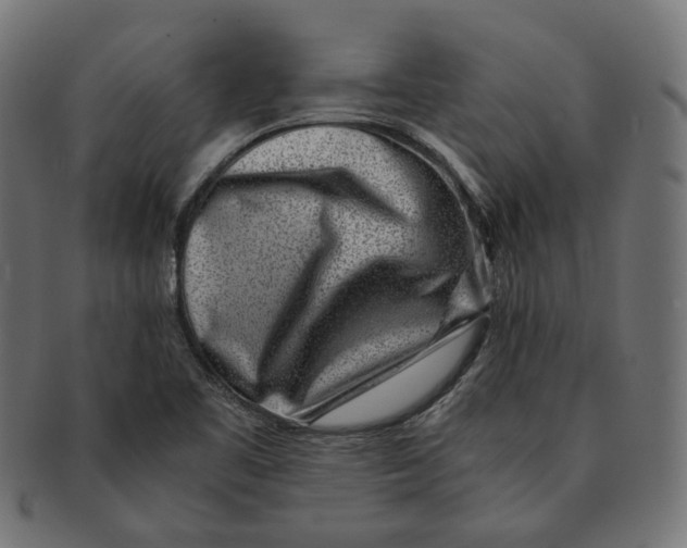 X0000091521461200709071006