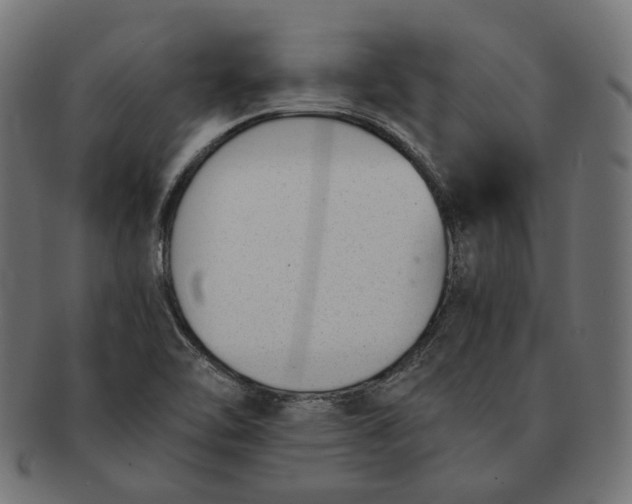 X0000091521462200709071005