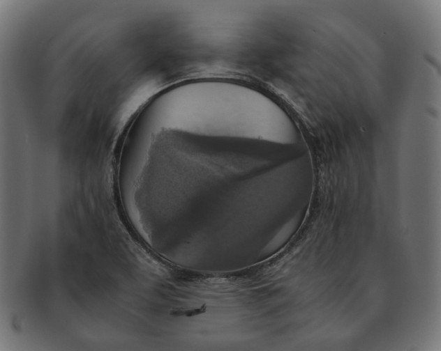 X0000091521463200709071005