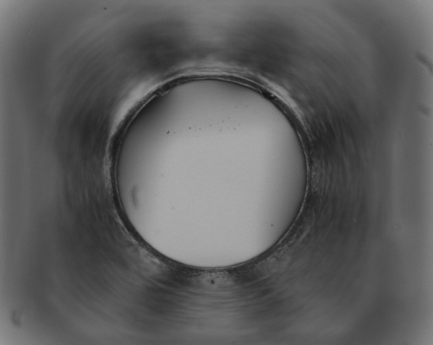 X0000091521464200709071005