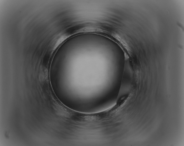 X0000091521465200709071005