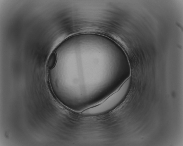 X0000091521467200709071005