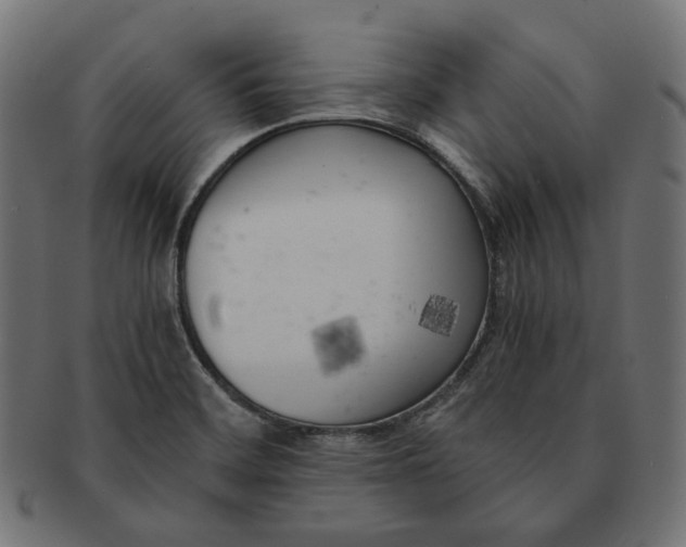 X0000091521468200709071005