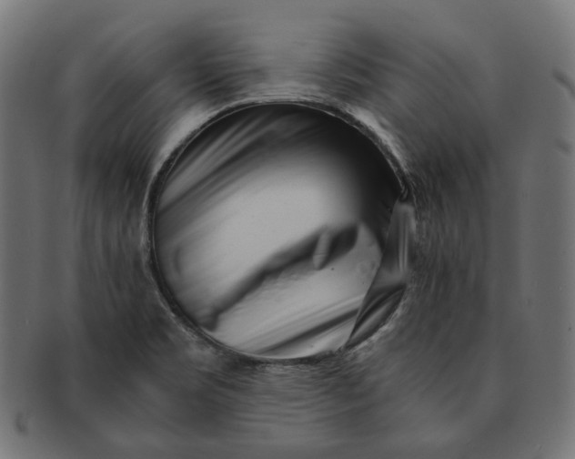 X0000091521469200709071005